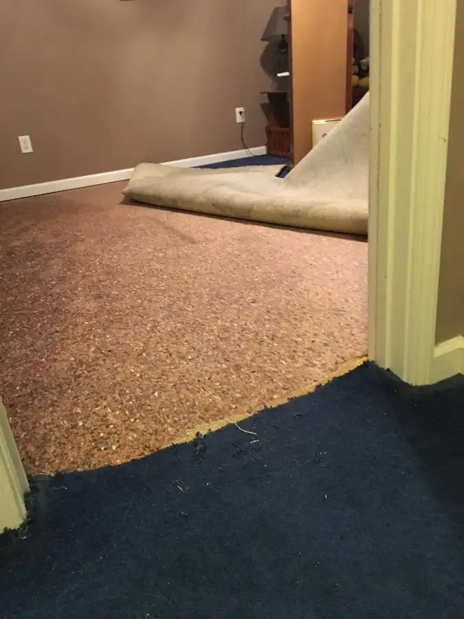 Carpet pad removal revealing water damage during Drying & Dehumidification in North Greenbush