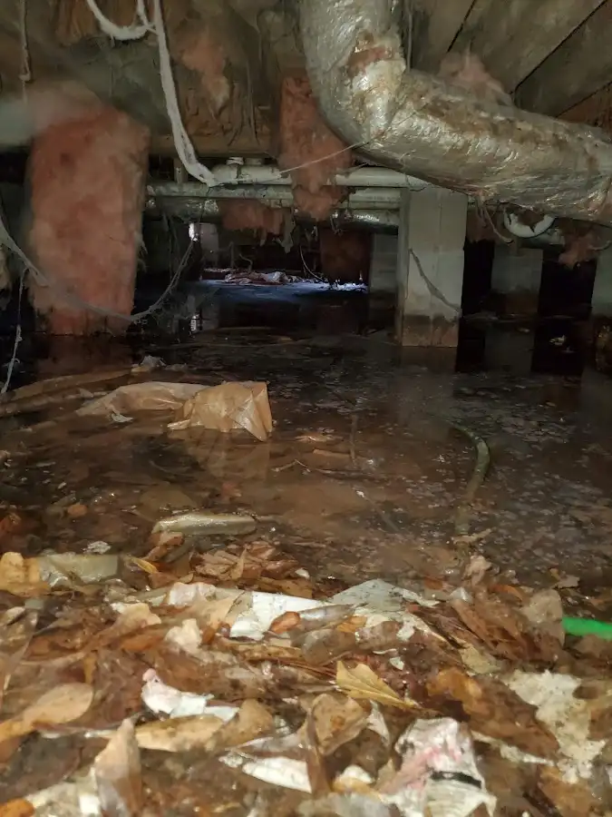 Crawl space flood assessment for Leak Detection & Repair in North Greenbush