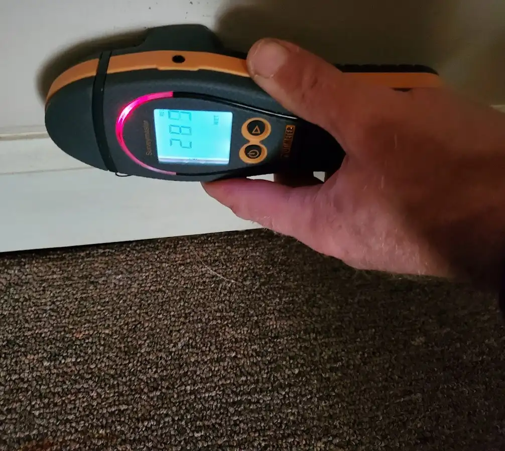Moisture detection at baseboard during Sewage Cleanup & Sanitation in North Greenbush